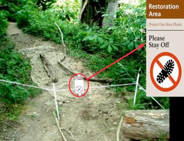Trailside prompter signs to assist management efforts in closing informal trails