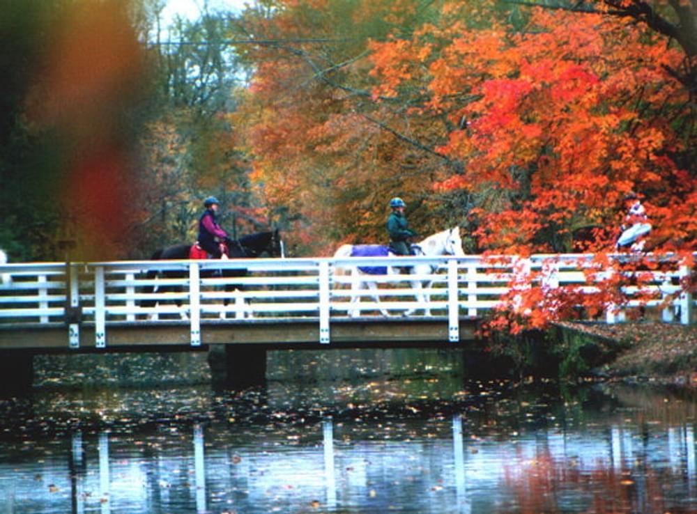 Horses on a trail bridge along the Delaware and Raritan Canal in New Jersey
