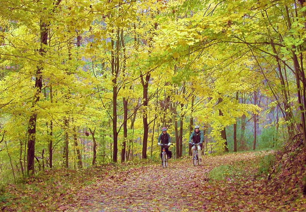 Golden Autumn on the Ghost Town Trail in Pennsylvania