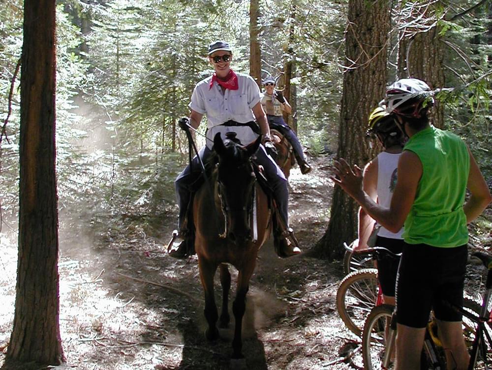 Bikes yielding to horses on the Pioneer Trail; Tahoe National Forest, California