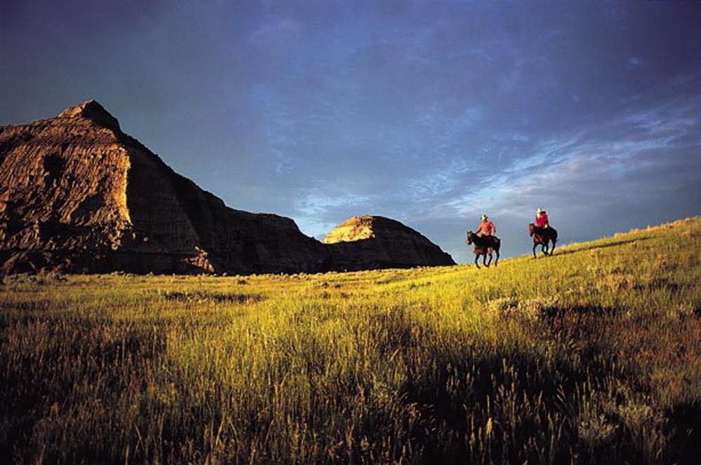 Horses on the skyline; Maah Daah Hey Trail, Dakota Prairie Grasslands, North Dakota