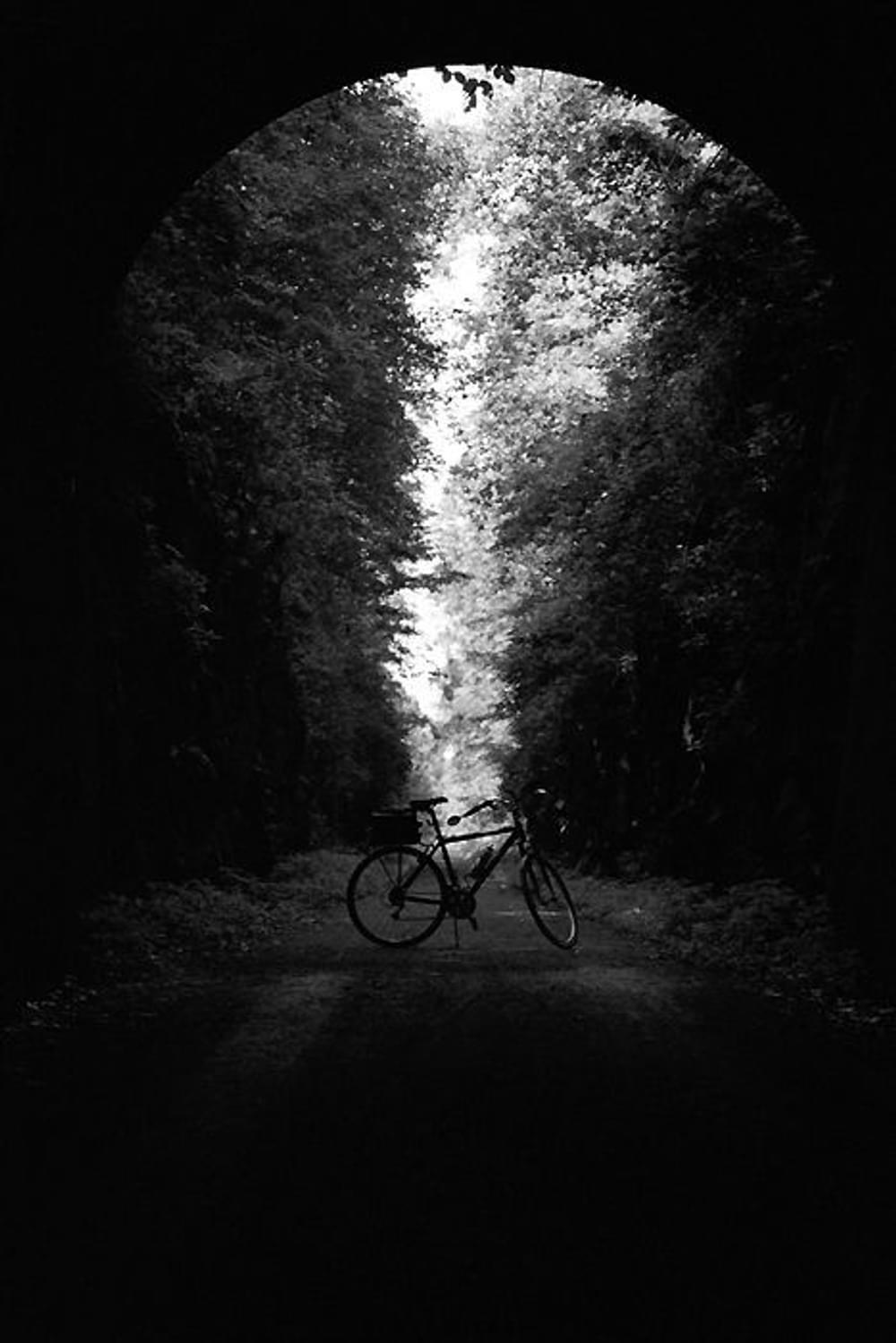 Lone rider on the Tunnel Hill State Trail near Vienna, Illinois