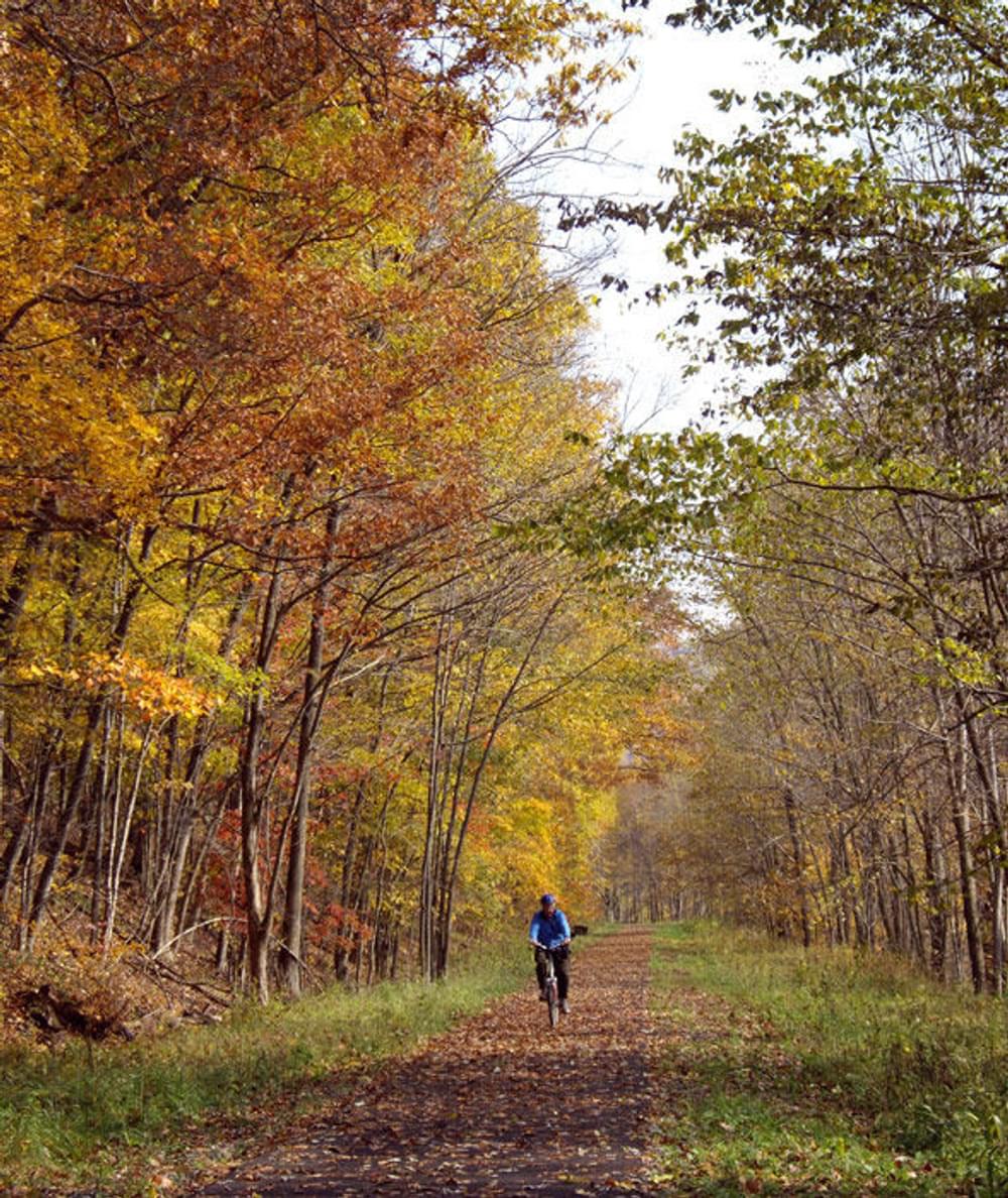 The Allegheny River Trail system near Franklin, Pennsylvania in the autumn