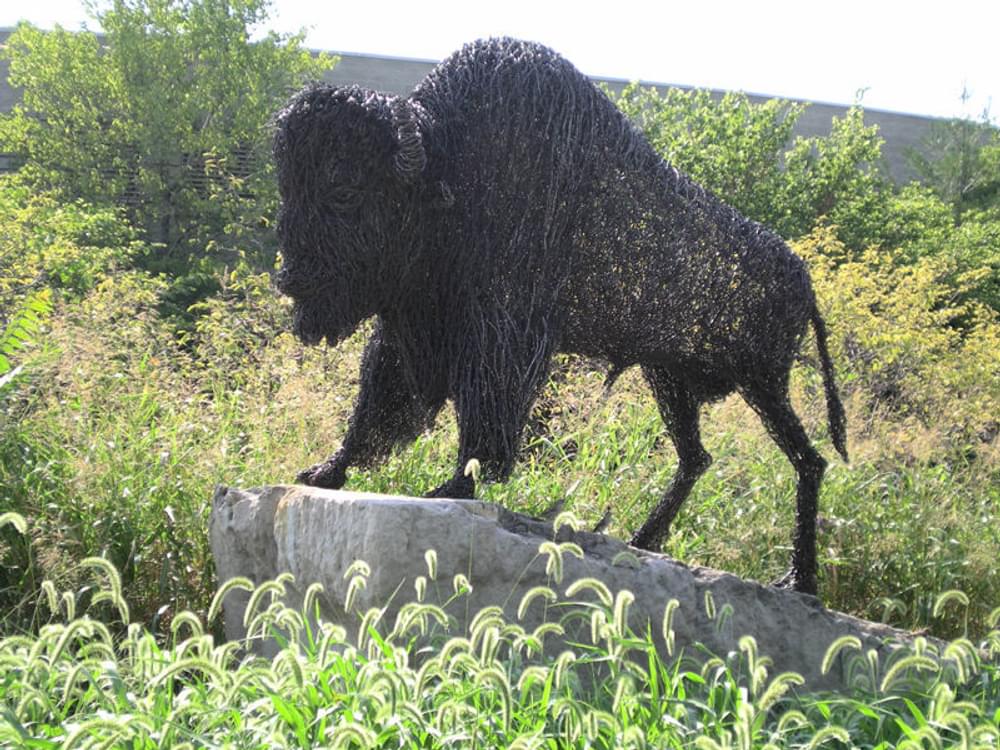 Trailside buffalo art on the White River "Wapahani" Trail; Indianapolis, Indiana