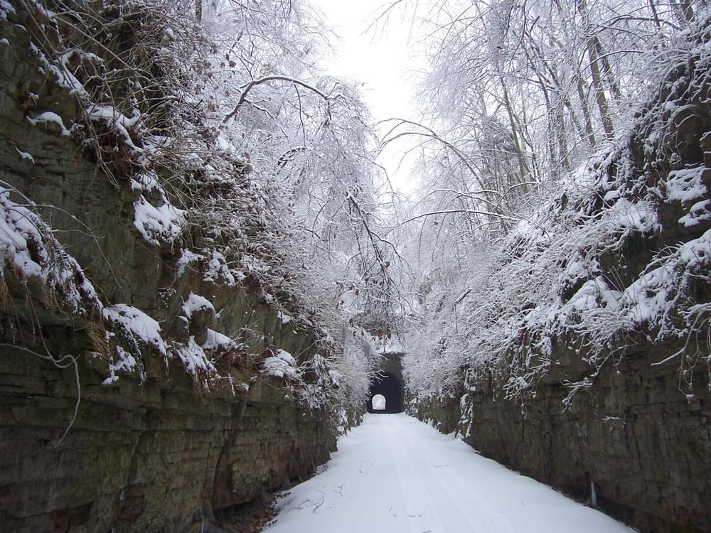 Ice storm on the Tunnel Hill State Trail; Johnson County, southernmost Illinois