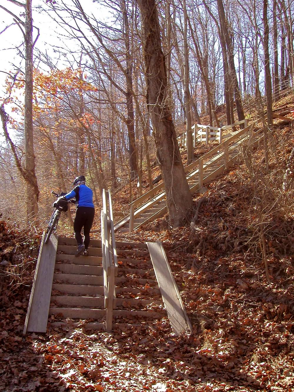 Stairs up Bow Ridge where the West Penn Trail passes over Conemaugh Lake. The tunnel that carried the railroad is now plugged, so bicyclists must climb over the ridge. These stairs make the climb easier.