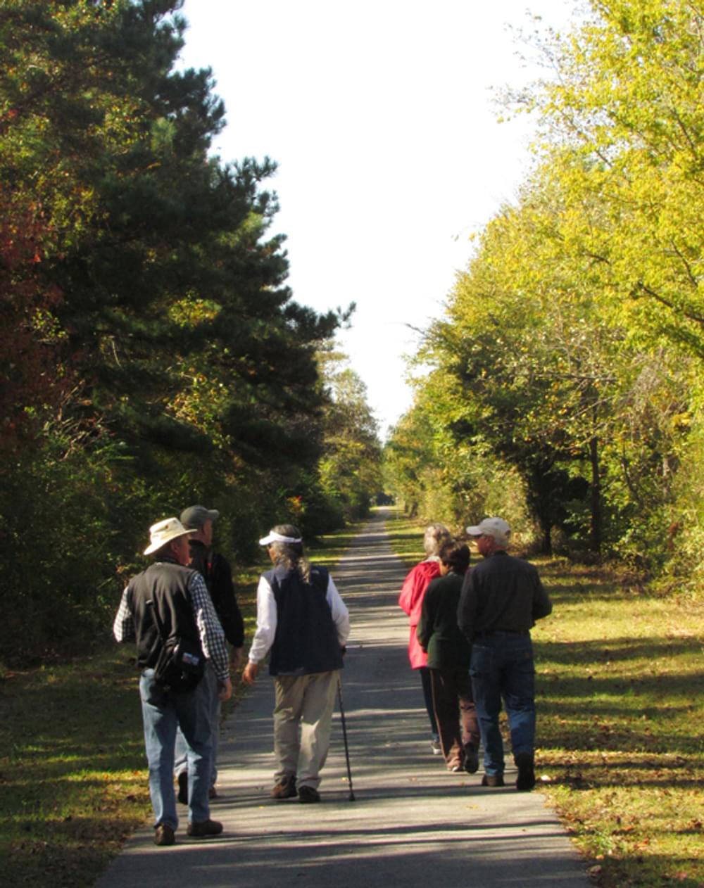 Members of the Birmingham Audubon Society hike the Chief Ladiga Trail in the Piedmont, Alabama area