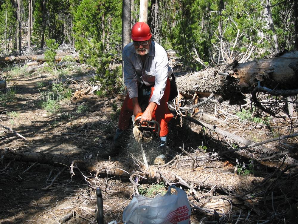 Volunteers cutting downfall logs in the Many Lakes area, Deschutes National Forest, on the Bend-Fort Rock Ranger District, Oregon