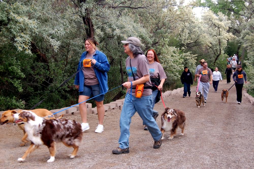 Riverfest walking participants on the trail along the Animas River; Farmington, New Mexico