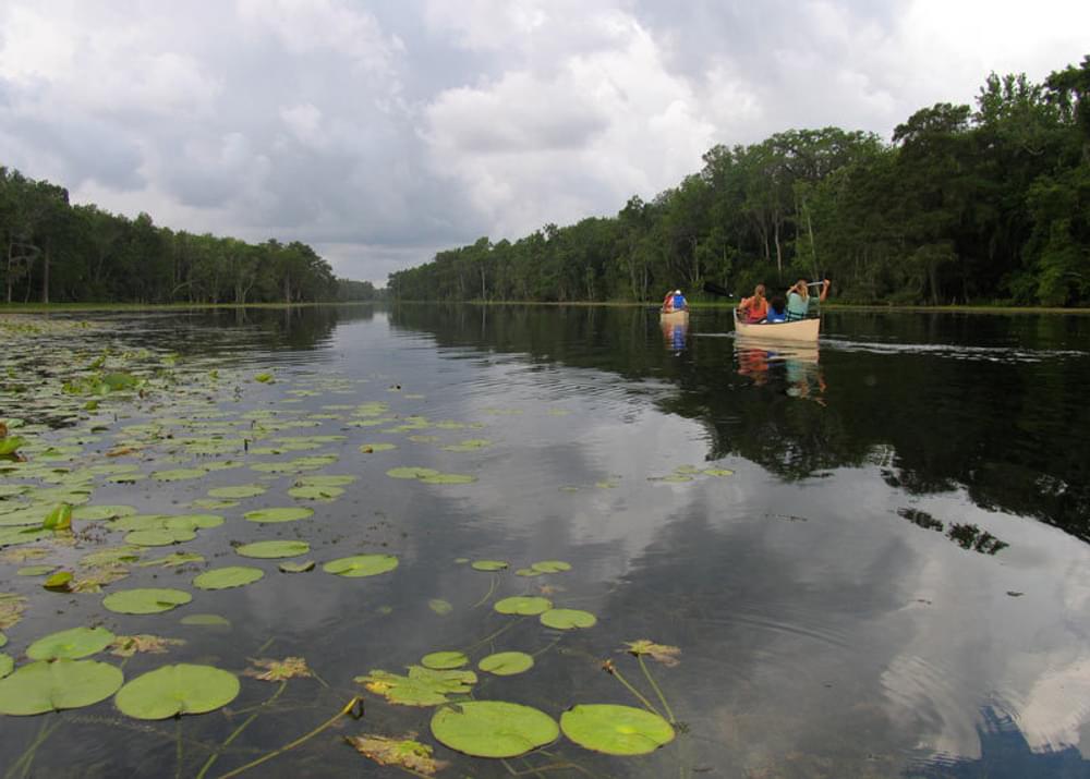 Canoeists paddling Wacissa River in the Aucilla Wildlife Management Area, Florida