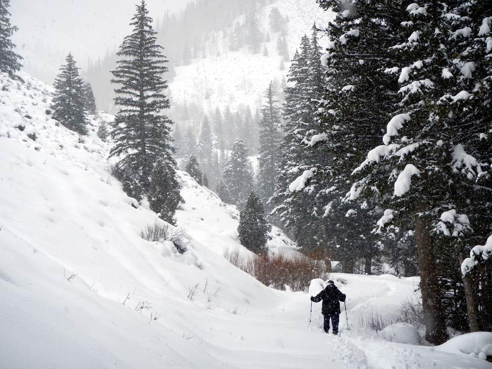 Snowshoeing on the Left Fork Huntington Creek Trail, Utah