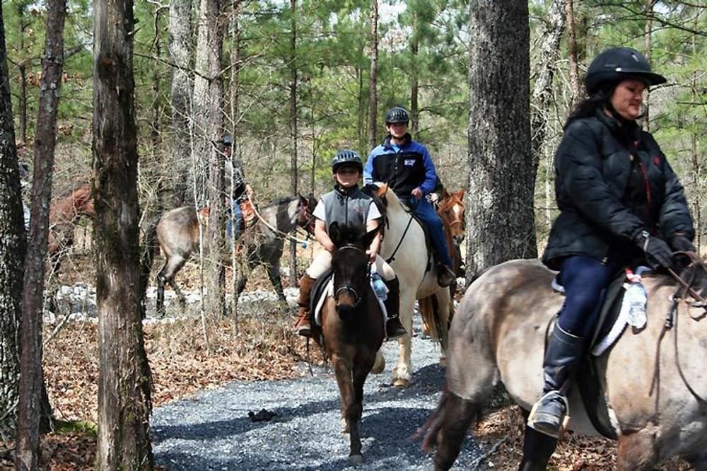 Harbins Park equestrian trails offer a series of natural surface travel paths that network for pedestrian use throughout the park and offer access to a variety of park areas.