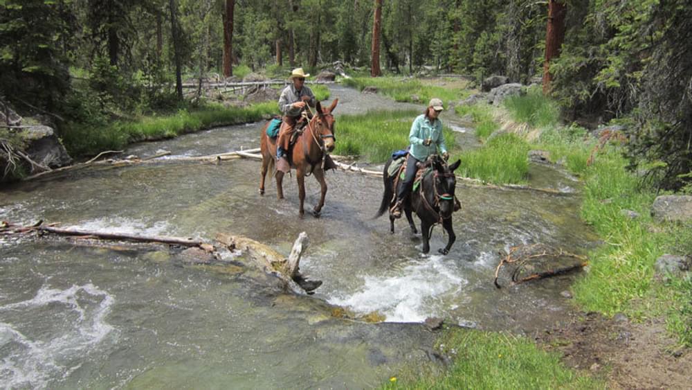 Riders crossing a stream in the Deschutes National Forest on the Peter Skene Ogden Trail, Oregon