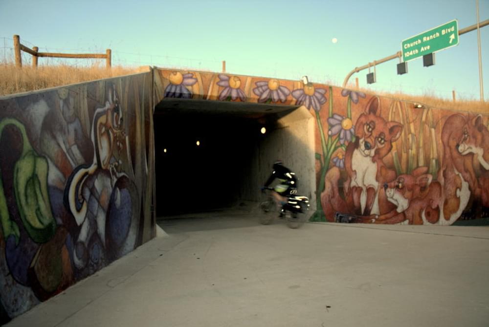 Murals on trail underpass on the Big Dry Creek Trail in Westminster, Colorado