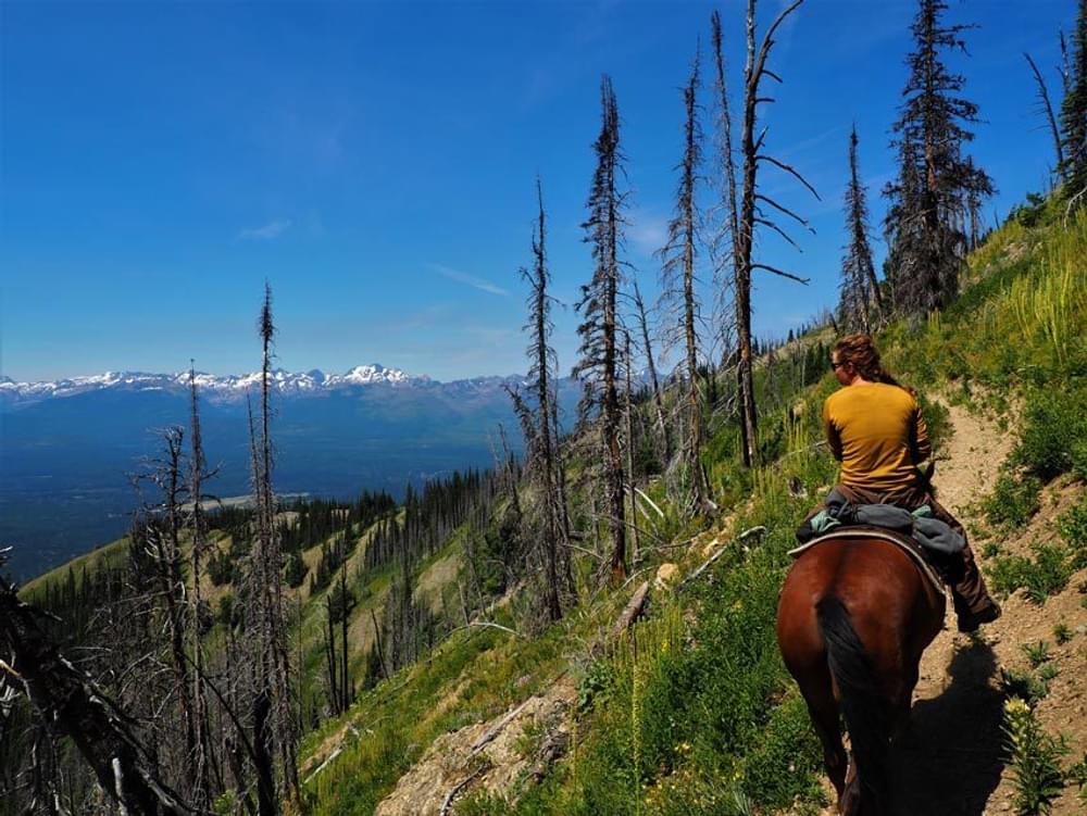Riding out of the Bob Marshall Wilderness on the Swan Lake Ranger District; the horse’s name is Lucky and he’s been working for the USFS for over ten years