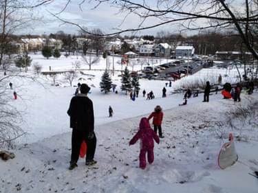 The park attracts many visitors in winter