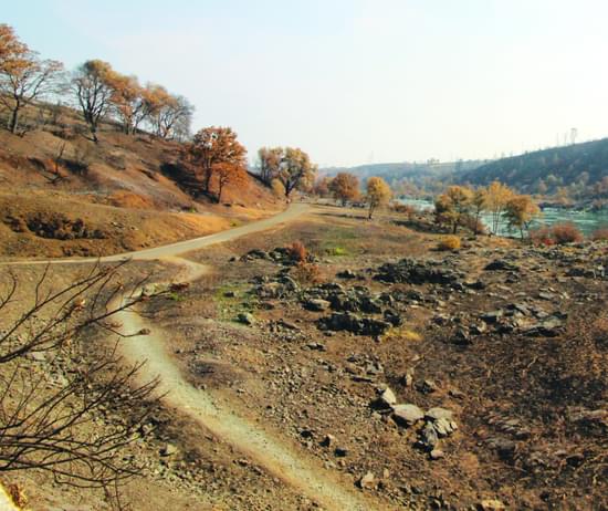 "Fireworthiness should be a factor in future decision making regarding trail construction," Travis Menne, the Community Projects Manager for the city of Redding, stressed.