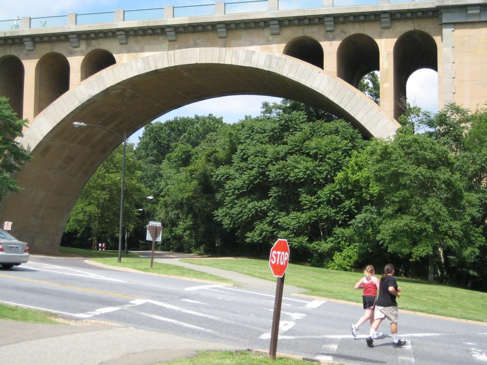 Trails diverge at road crossing in Rock Creek Park, Washington, DC with crosswalks marking the route