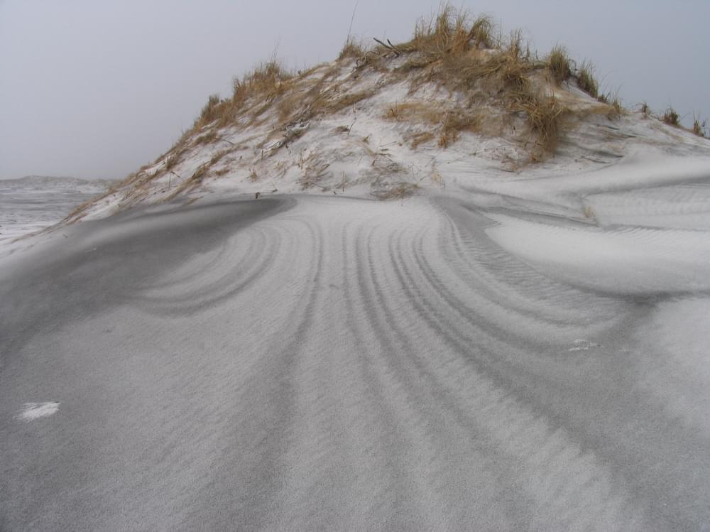 Sand dunes at Deer Lake State Park near Grayton Beach; Florida Circumnavigational Saltwater Paddling Trail