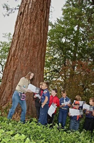 Cub Scouts learning about Oregon's oldest Sequoia - The Britt Sequoia - an Oregon Heritage Tree - planted 1862.