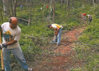 Volunteers at work on the trail