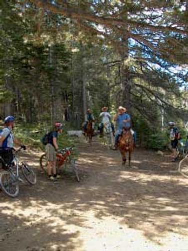 Mountain bikers giving way to equestrians according to the rules of the trail