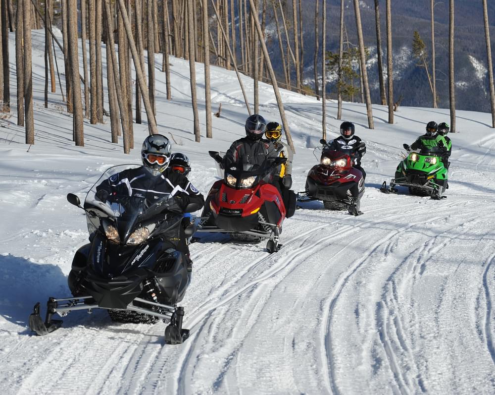 Snowmobilers on trail