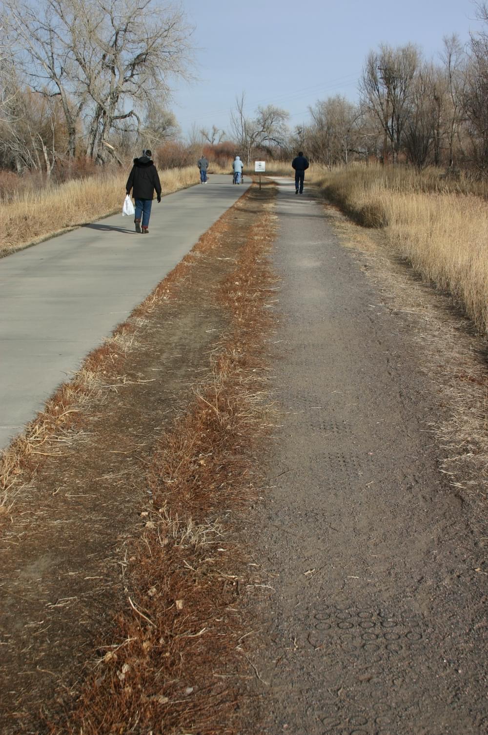 Slight separation between the adjoining treads, one concrete and the other natural surface often used by equestrians; Crown Hill Park trails in Wheat Ridge, Colorado