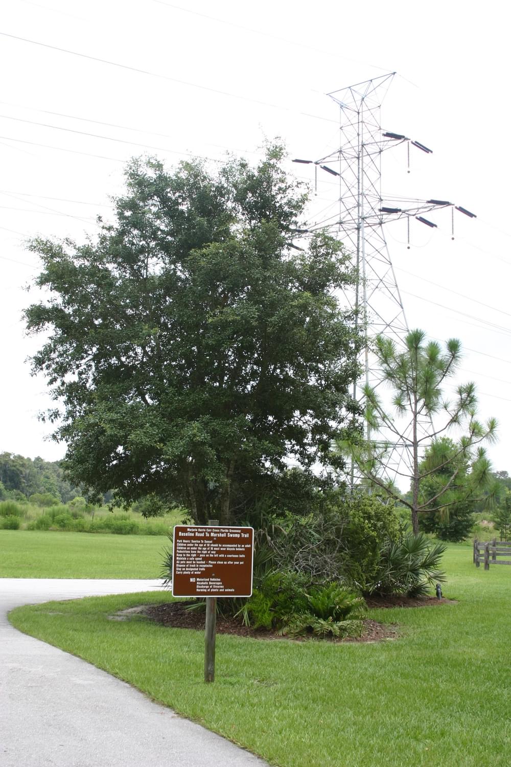 On the Marjorie Harris Carr Cross Florida Greenway south of Ocala, Florida
