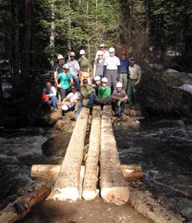 Replacing a log bridge