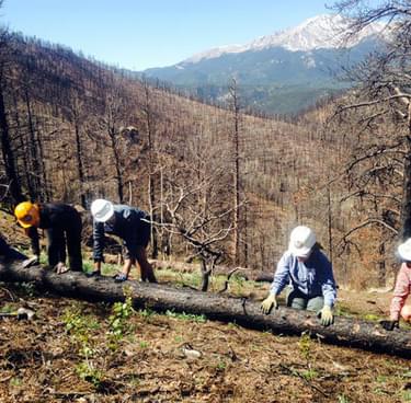 Volunteers for Outdoor Colorado fire recovery.