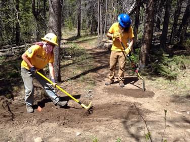Wyoming Conservation Corps members working on trail tread