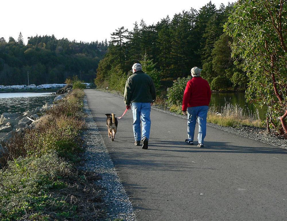 Thompson Trail Project, a railtrail in Anacortes, Washington, looking west 