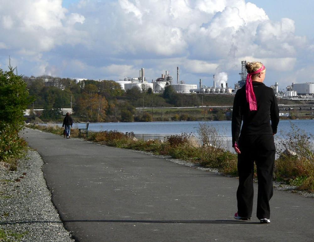Looking east toward the oil refinery, on the Thompson Trail Project, a railtrail in Anacortes, Washington 