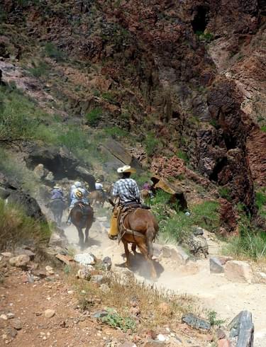 Riding down the Bright Angel Trail in Arizona.