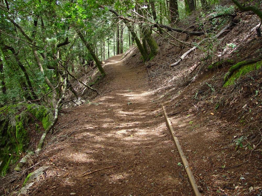 A good trail crosses the sideslope with a curvilinear alignment