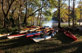 3889 Bartram Trail In Putnam County Dawn Kayaks At Dunns Creek State Park By Doug Alderson