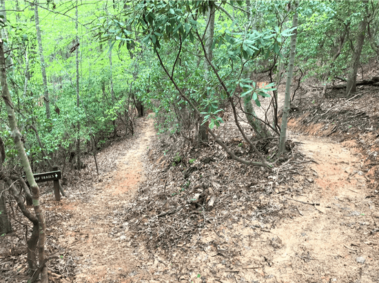 One of the switchbacks on the Stumphouse Passage of the Palmetto Trail.