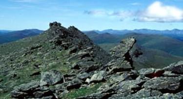 Schist, the predominant rock type, forms the prominent tors jutting from ridge tops