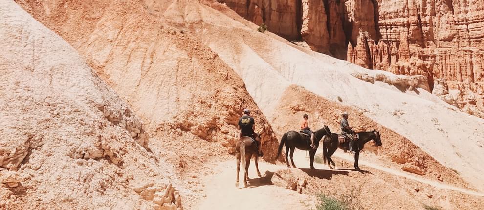 equestrian desert trail
