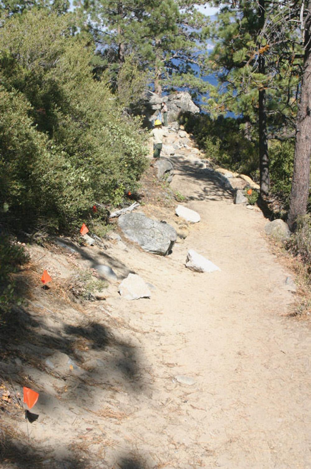 Red flags marking route of accessible trail improvements; at D.L. Bliss State Park