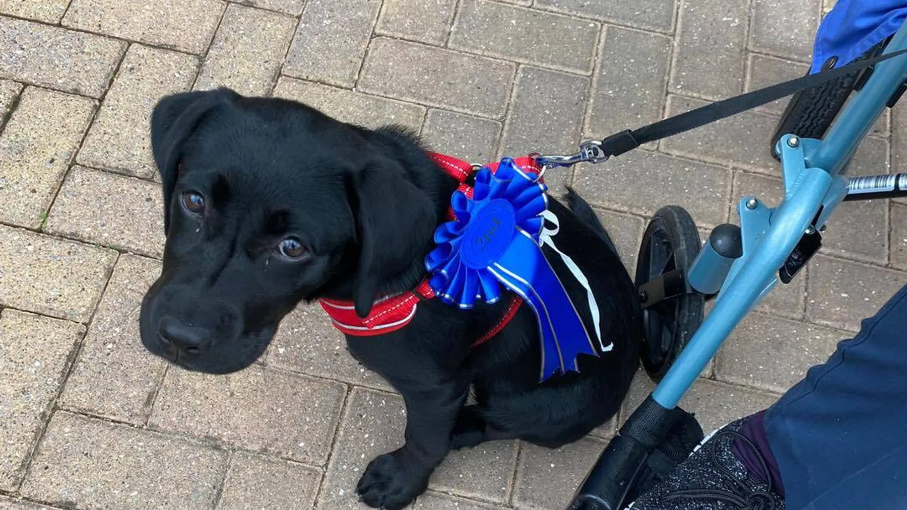 365253080 727600612710203 3578819079961209075 n 1