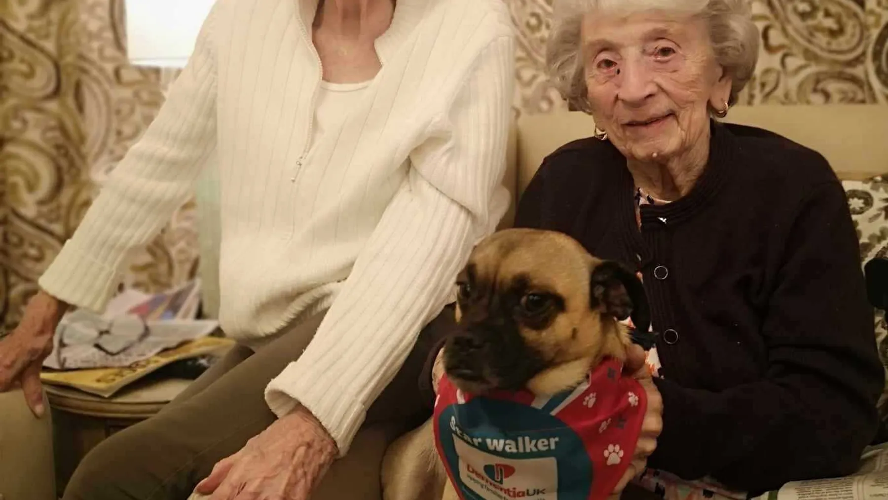 407391550 800582025413184 9140608594193683168 n