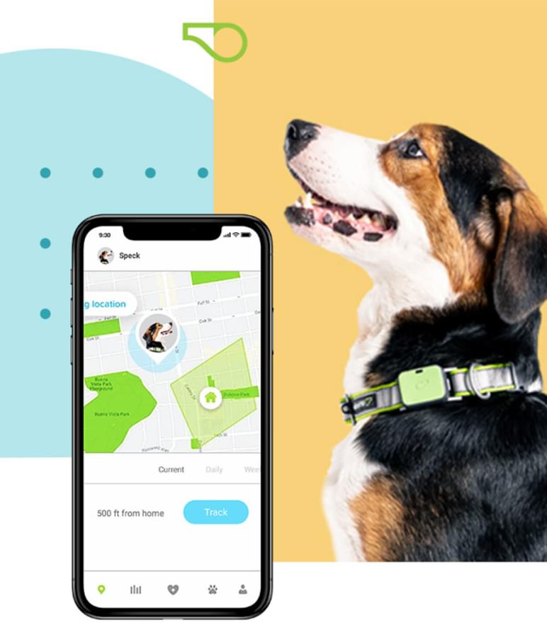 Kindship Whistle Pet Care Innovation MMR Research