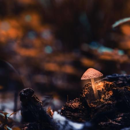 Resized image Promo 2