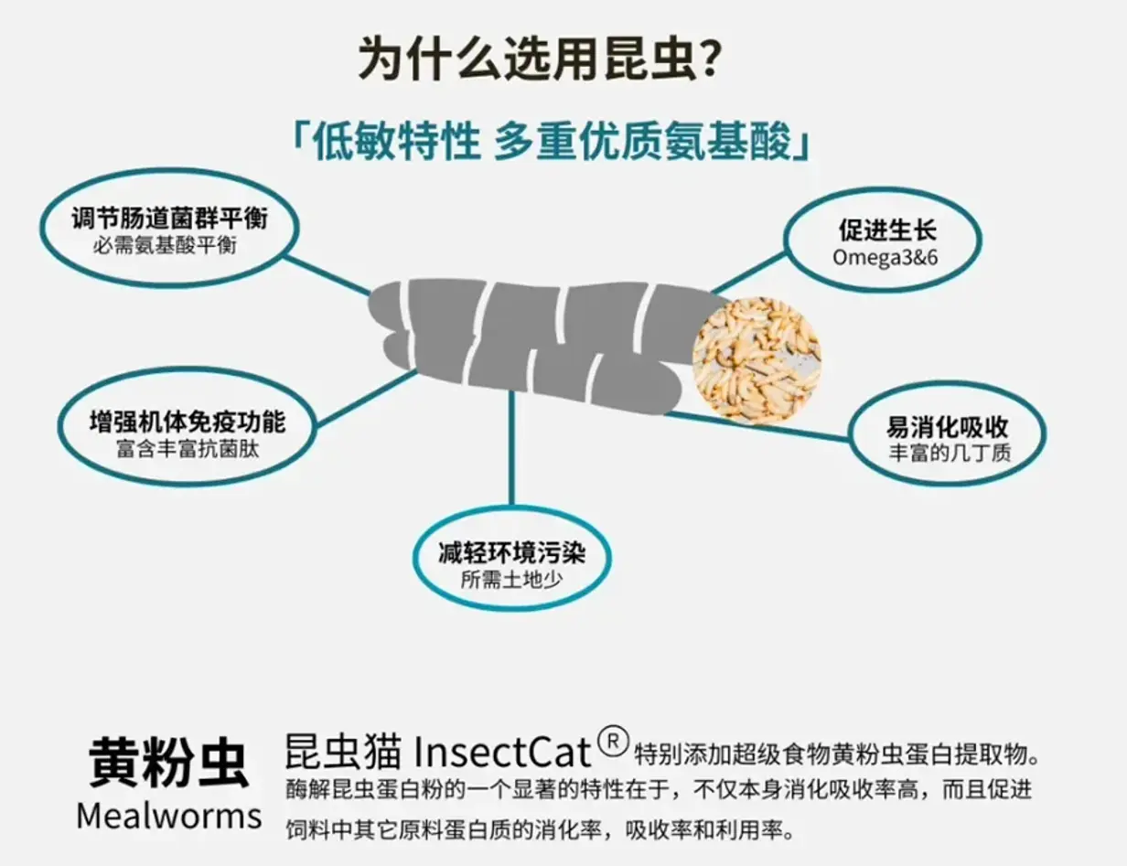 宠物零食 image 3