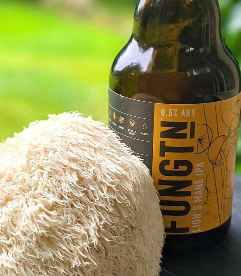 Concept Accelerator No Low Case Study Image2