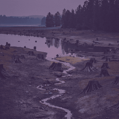 Euro Sense Hero Image 2