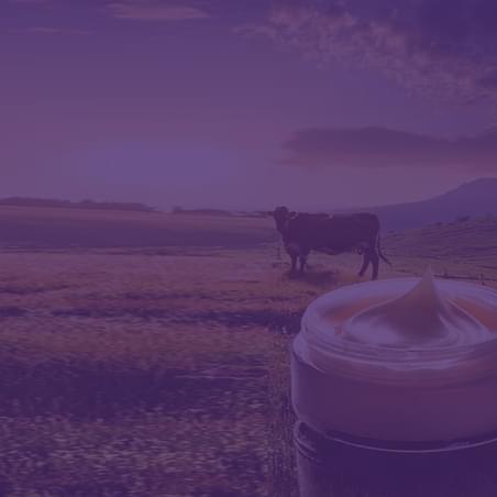 PH press release hero mage