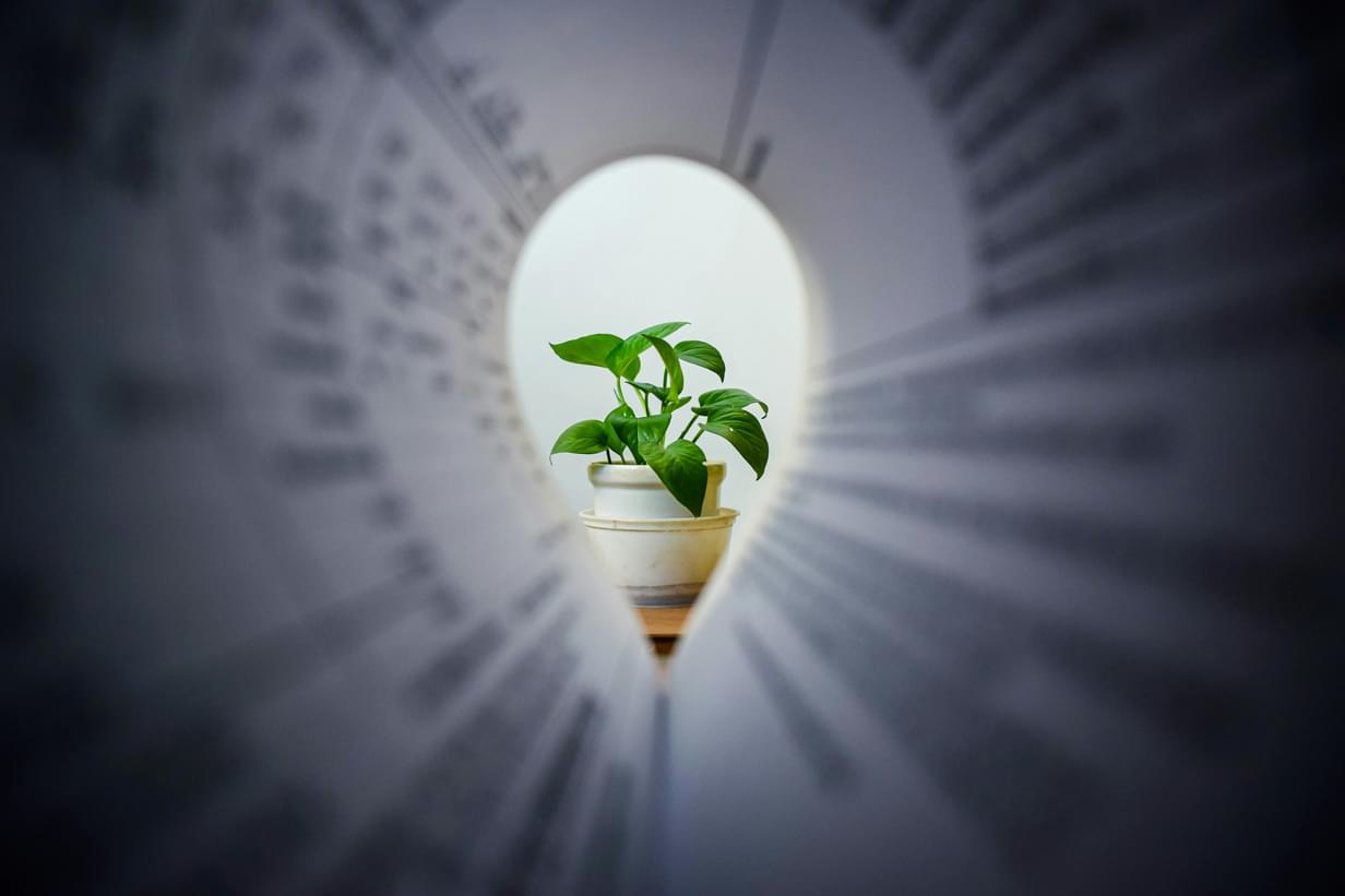 Paper shaped like bulb